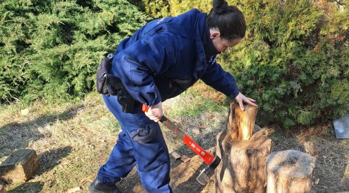 Gödi asszonynak aprították a fát a dunakeszi rendőrök
