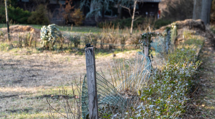 Ilyen a Huzella-kert kerítése