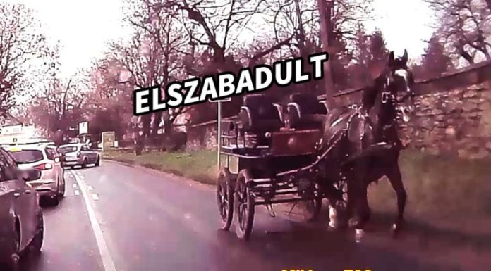 Mi sem hisszük, amit látunk!