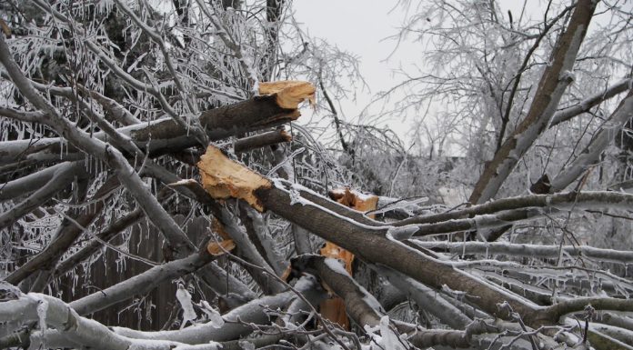 Brutális széllökések országszerte