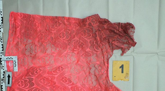 Lezárták a gödi gyilkosság aktáját – videó