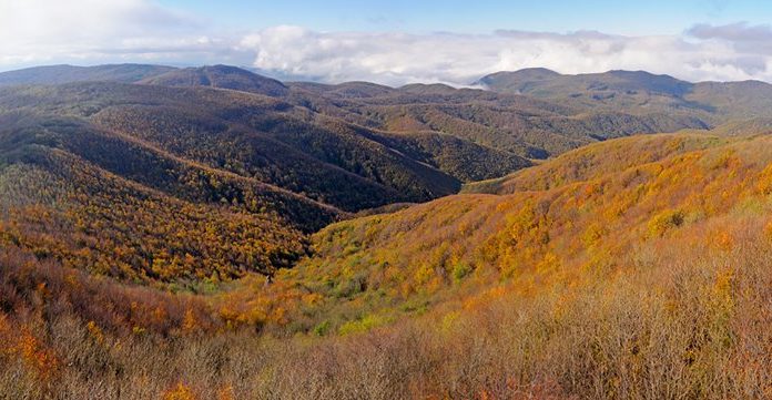 Áll a bál a gödiek egyik kedvenc kirándulóhelyén