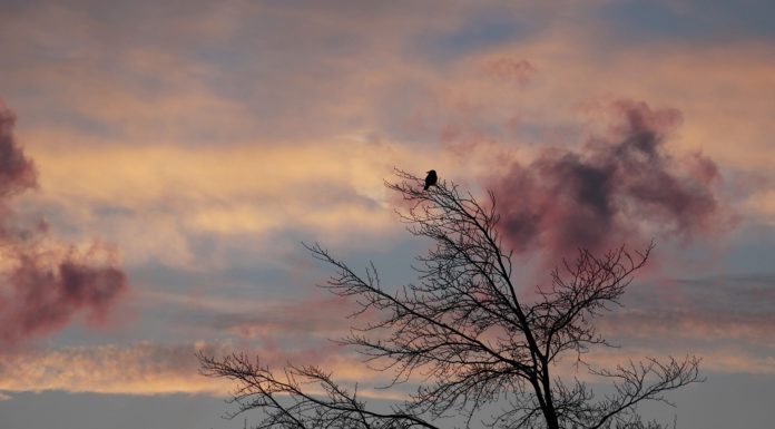 Gödön is extrém hideg lesz a következő napokban