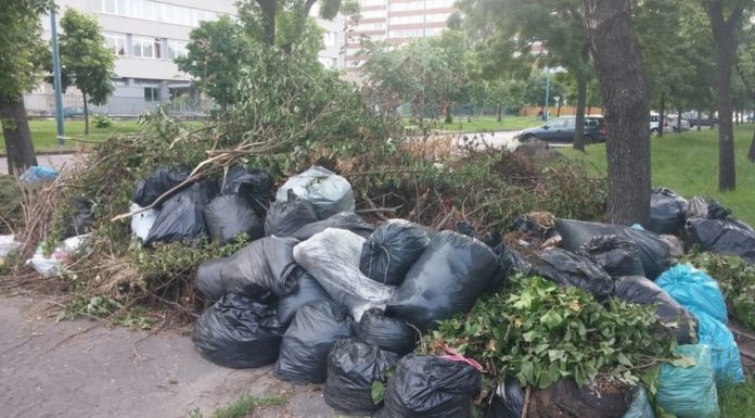 Megvan, mikor viszik el a gödi portákról a zöldhulladékot az idén!