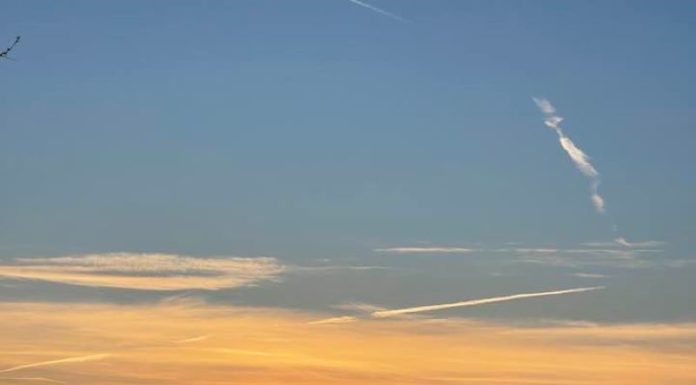 Szeretné tudni, milyen a tökéletes tojás? Balatonszemesen tudják!