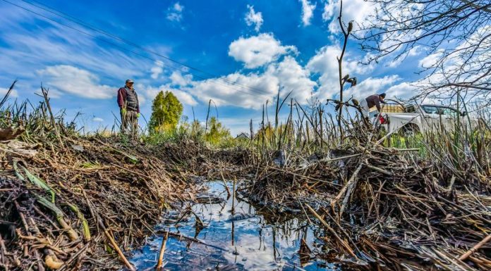 Már gyérítik a szúnyogokat a Dunánál!