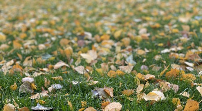 Horrorisztikus, mit művelt újszülöttjével egy nő Pest vármegyében