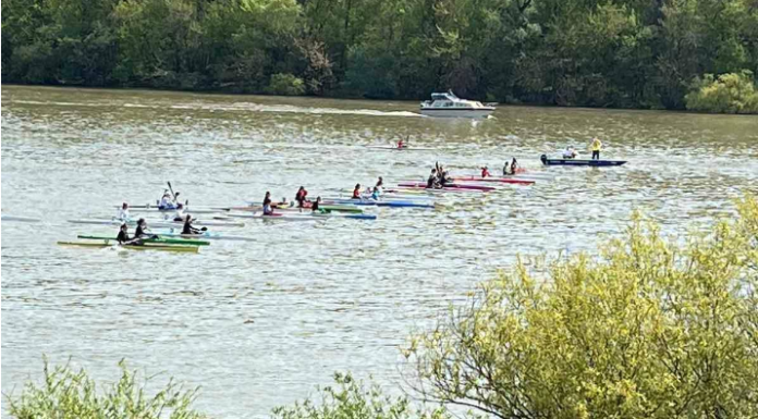 Taroltak a gödiek a Lupa-Kupán