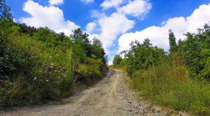 A földutak javítása is hamarosan megkezdődik