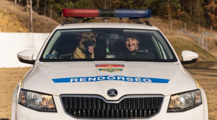 A rendőröket is megdöbbentette a sofőr magatartása
