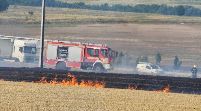 Égett a búzatábla az M2-es mentén