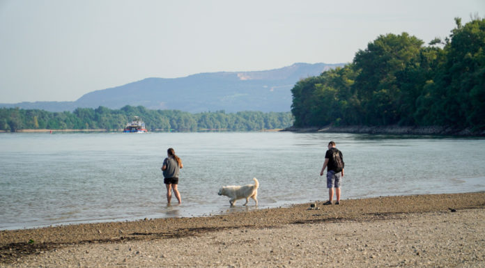 Kánikula Gödön: mit lehet ilyenkor csinálni?