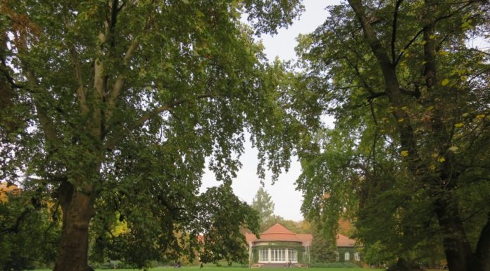 Mesés kirándulóhelyek Göd közelében: a vácrátóti botanikus kert