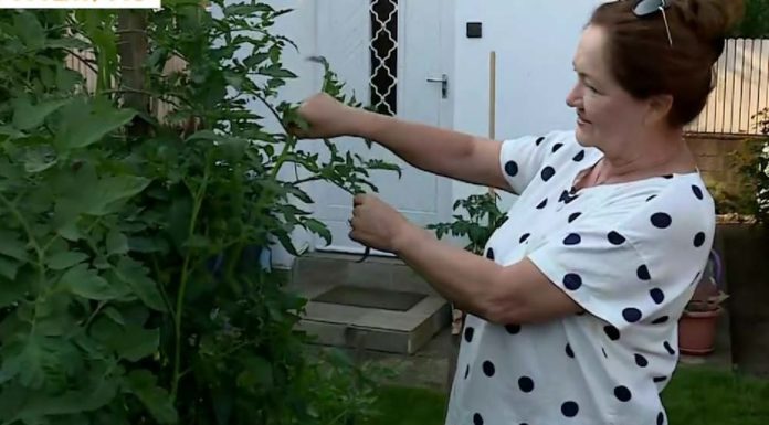 Kállay Bori gödi kertjében talált újra önmagára