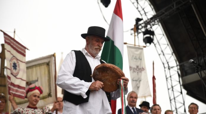 Árstop augusztus 20-án: egy sörért 350 Ft-ot kell majd fizetni