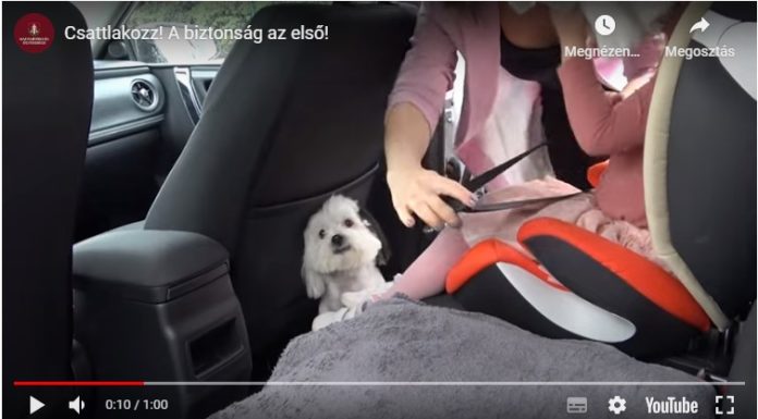 Mutatjuk a Csat(t)lakozz! közlekedési ellenőrzés eredményeit