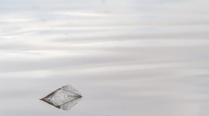 Bongyor elevezett az égi vizekre
