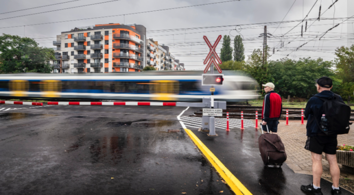 Rákosrendezőnél eltűnt a macskakő