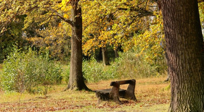 Hejce: a zempléni kirándulófalu, ahol meghallották az erdő szavát