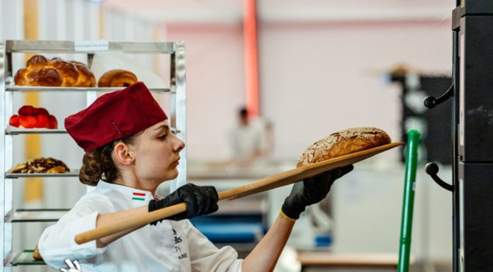 Hankó Balázs: az eddigi legjobb eredményt érték el a magyar fiatalok a szakmák Európa-bajnokságán