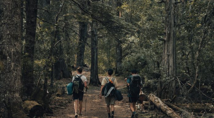 Közel száz programmal várja a gödieket a Tourinform a turizmus világnapja miatt