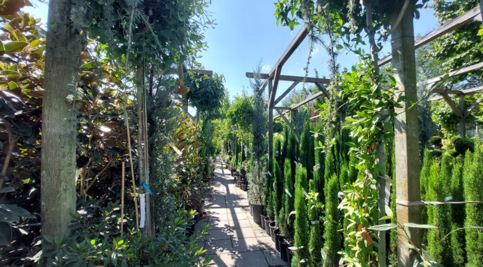 Egy igazi oázis Felsőgödön: a Zanakert Kertészet