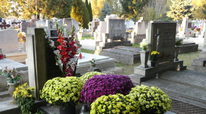 Mutatjuk a halottak napi temetőjáratok menetrendjét!