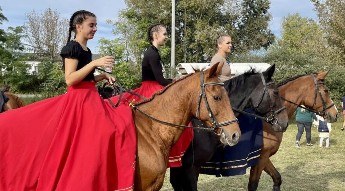 Idén is nagy siker volt a Gödi Szüreti Lovasfesztivál