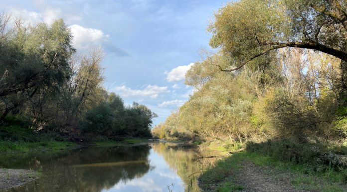 Csodaszép helyen kelhetünk át a Homokszigetre