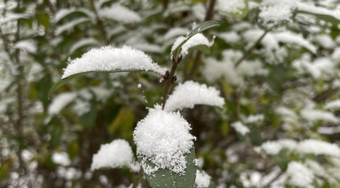 Megérkezett a hó Gödre