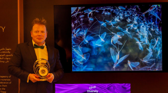 Gödi dunavirágzás Dubajban