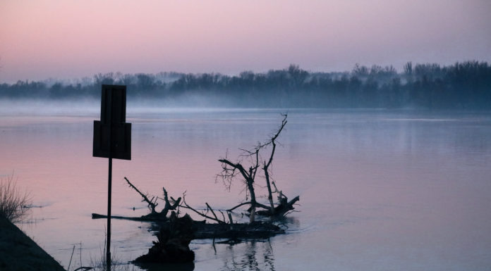 Tetőzött a Duna Gödön