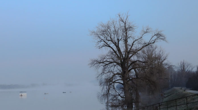 BRFK: megtalálták a hatodik áldozat holttestét