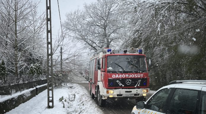 Fák dőltek ki, egy villanyvezeték is leszakadt Gödön a hó súlya alatt