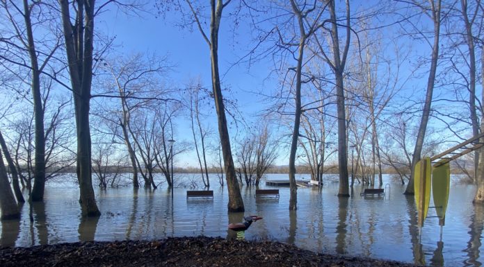 Közel 3 métert emelkedett a Duna vízszintje az elmúlt 5 napban