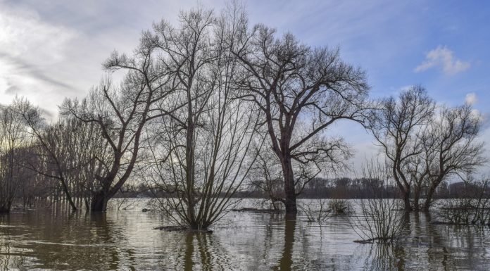 Jön a brutális árvíz: a fővárosban már nagy erőkkel készülnek