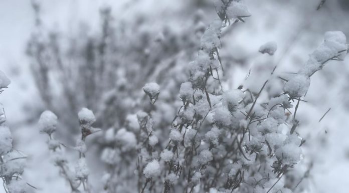 Ónos eső, havazás – Mi jön még Gödön?