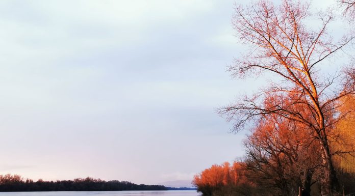 Kurdi Imrére emlékeztek a gödiek