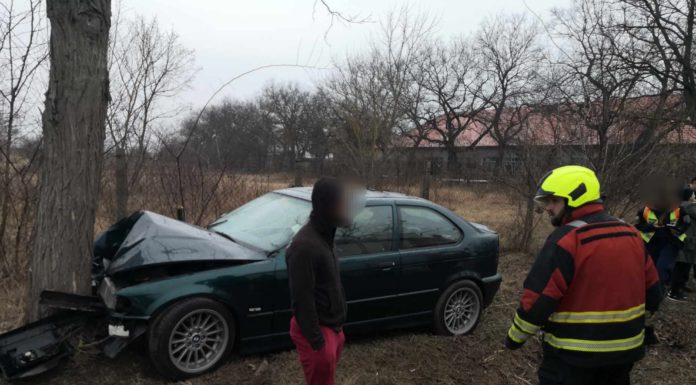 Fának ütközött egy autó Gödön