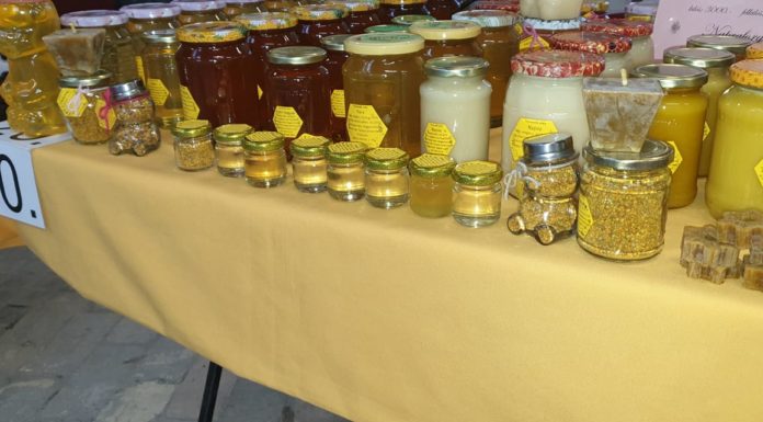 Ha szombat, akkor gödi piac