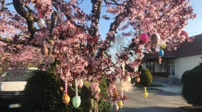 Húsvéti programkavalkád az egész országban