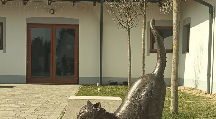 Elkészült a szobor – Mutatjuk Kincsem macskáját