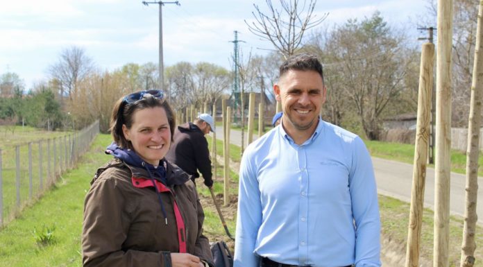 Faültetéssel az egészséges városért