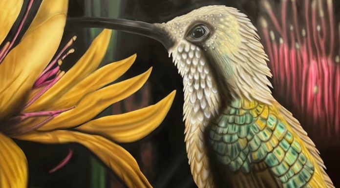 Légies állatok: airbrush festményekből nyílik kiállítás a JAMH-ban