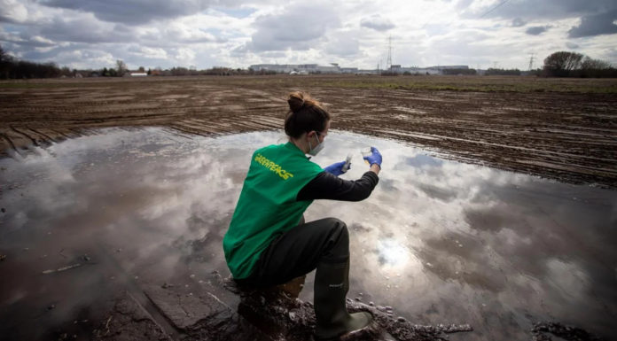 Magzatkárosító oldószert talált a Greenpeace a Samsung-gyár mellett kiömlő szennyvízben