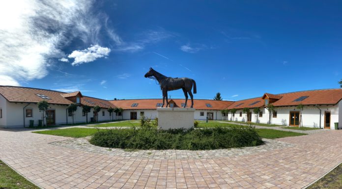 Ismerjék meg Kincsem igazi történetét Gödön