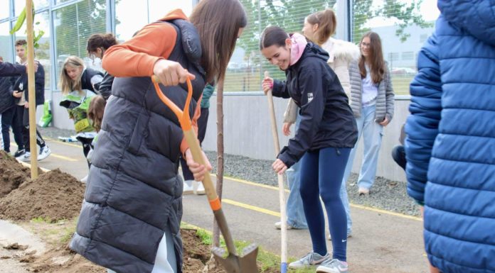 Gödön így ünnepelték a Föld napját