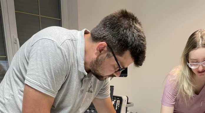 Mindent megtettek, hogy megmentsék az elgázolt gödi cicát