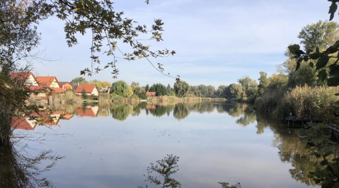 Elhunyt férfit emeltek ki egy tőzegtóból Dunakeszin