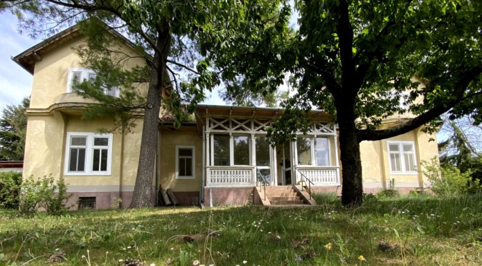 Koncert, torta, borkóstoló: így ünneplik a Zenit szülinapját